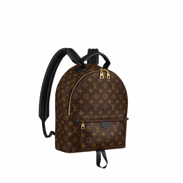 Louis Vuitton Palm Springs MM backpack