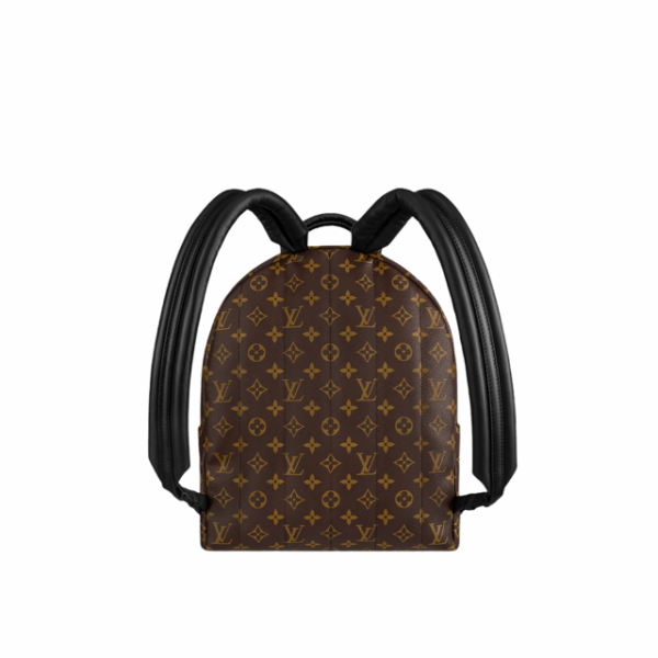 Louis Vuitton Palm Springs MM backpack